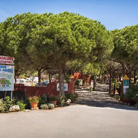 Luxury tent Kampaoh Marbella