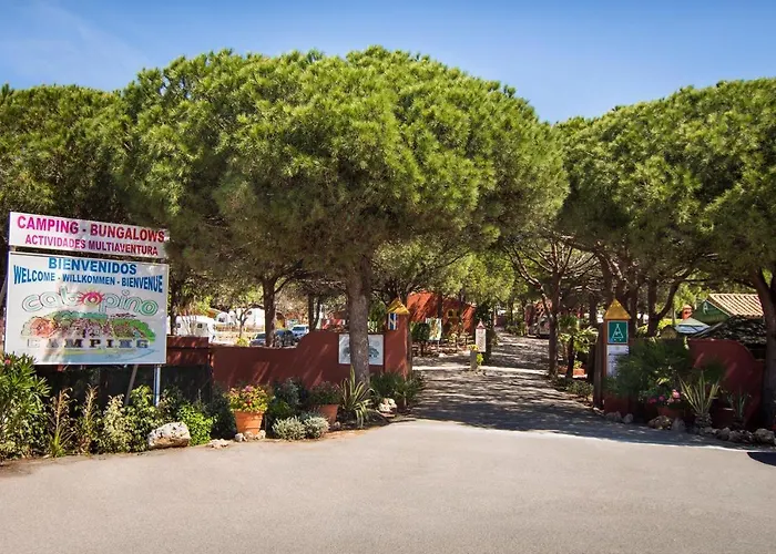 Campo de lujo Kampaoh Marbella